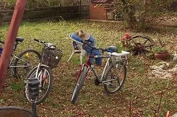 Agva Nehir Perisi 3*