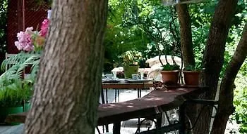 Agva Nehir Perisi 3* Goce